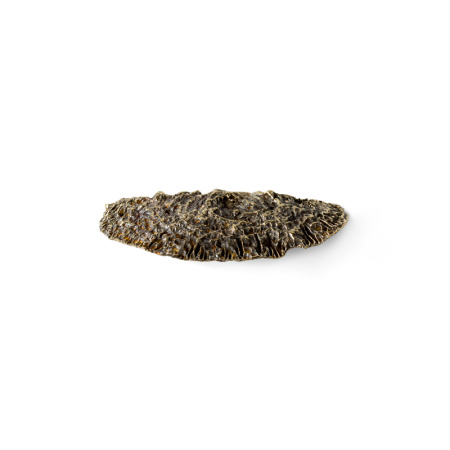 Ручка PULLCAST FUNGI EA1034