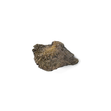 Ручка PULLCAST FUNGI EA1032